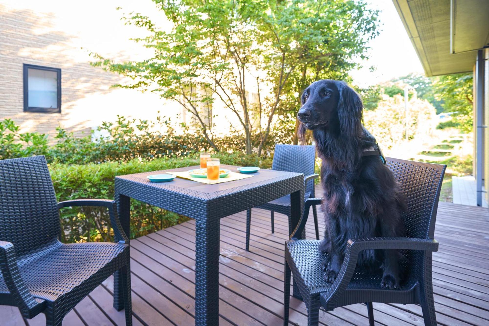 Suite Villa Izukogen Prime Itō Eksteriør billede